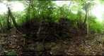 101201 - Area de Conservacion de Guanacaste (ACG), Costa Rica, Volcan Cacao, Estacion Cacao, 740 m 