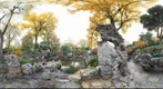 Liu Garden - Suzhou, China 留园 - 中国苏州