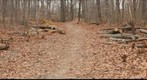 Path Trees- R