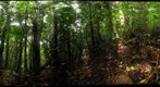 101205 - Area de Conservacion de Guanacaste (ACG), Costa Rica, Volcan Orosi, Estacion Maritza, 970 m