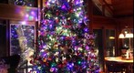 Hollon Christmas Tree 2010