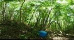101207 - Area de Conservacion de Guanacaste (ACG), Costa Rica, Junquillal, Estacion Junquillal, 50 m