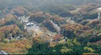 Ryozen foliage