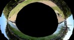 Hermann Park Reflecting Pool - a Circuitous Adventure