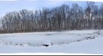Winter Pond