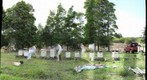 Apiary in Na'alehu, Hawaii 12.8.2010