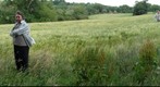 Laverstoke Sub-space Anomaly (Spot the Composer #1)