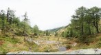 "Hohe Tauern National Park", in Osttirol Austria at 1807m height (Dorfertal)
