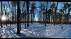 Dairy Bush GigaPan - 68 - Dec 15 2010