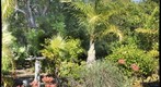 Garden MOW Cay Bahamas