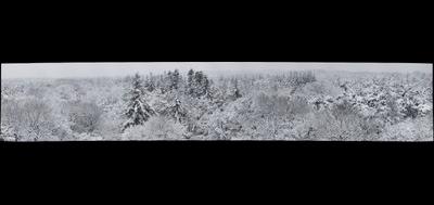 67339-400x189