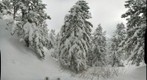 Skiing pano from solitude