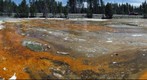 Bacteria Mat at Fountain Paint Pots