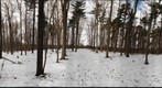 Dairy Bush GigaPan - 69 - Dec 22 2010