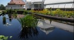 Phipps Reflection