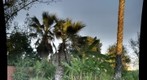 Test 01