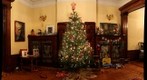 Christmas Tree Candles