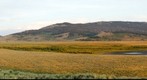 Sawtelle Meadows, Island Park, ID