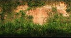 Worlds Largest Macaw Clay Lick