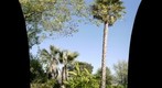 Garden01