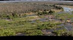 Probably the most wild animals on one gigapan image ever. Can you find the elephant? View from Elephant Rest Camp in the Kruger National Park, South Africa (KP SERIES NO5)