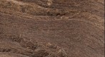 Oil Shale Sample (Lamosite)