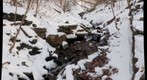 Thomas Mill Stream