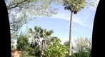 Garden03