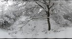 Happy New Year 2011