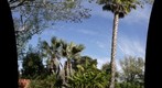 Garden 04