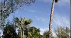 Garden04_2