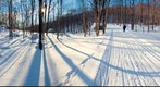 Skiing Willoughby State Forest