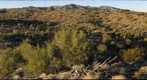 Horned Lizard Ranch 3