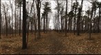 Dairy Bush GigaPan - 70 - Jan 02 2011