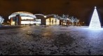 Magnolia in the winter time