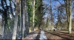 Wander Weg 360