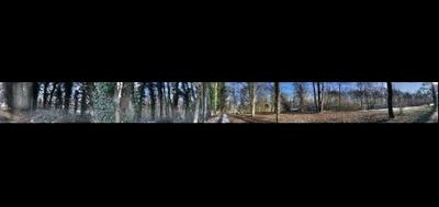 68057-400x189