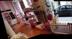 paris dog shop