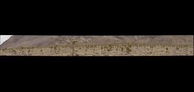 68125-400x189