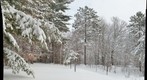 Snow, Cohasset, Minnesota