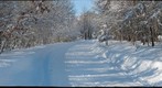 Snow, Cohasset, Minnesota
