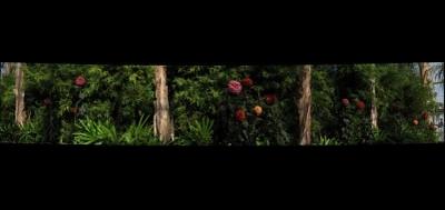 68202-400x189