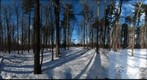 Dairy Bush GigaPan - 71 - Jan 05 2011