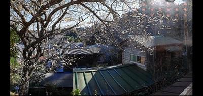 68291-400x189