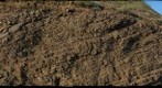 Rad chert outcrop