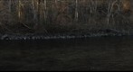 Fly Fishing on New Years Day January 2011