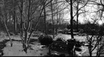 MO Botanical Gardens, Mosaic in BW