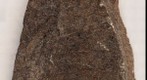 Oil Shale Sample (Lamosite)