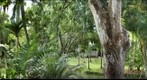 View from a lanai on the lane at Kauhale Beach Cove