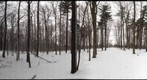 Dairy Bush GigaPan - 72 - Jan 12 2011 - partial